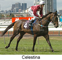 Celestina (16130 bytes)