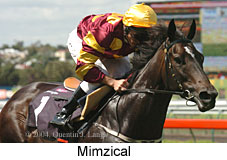 Mimzical (14743 bytes)