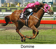 Domine (15441 bytes)