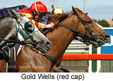 Gold Wells (18038 bytes)