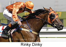 Rinky Dink (15387 bytes)