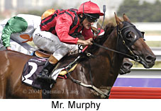 Mr. Murphy (15571 bytes)