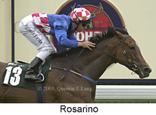 Rosarino (12525 bytes)