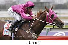 Umaris (13254 bytes)