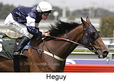 Heguy (13844 bytes)