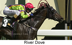 River Dove (13708 bytes)