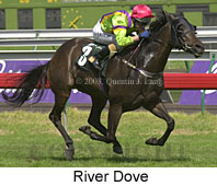 River Dove (14207 bytes)
