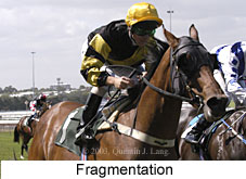 Fragmentation (15436 bytes)