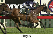 Heguy (15261 bytes)