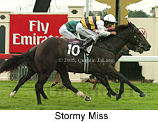 Stormy Miss (17007 bytes)