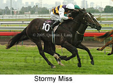 Stormy Miss (14872 bytes)