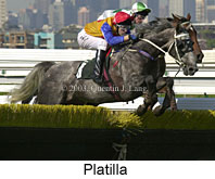 Platilla (12091 bytes)