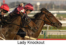 Lady Knockout (14062 bytes)