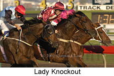 Lady Knockout (16208 bytes)
