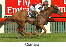 Cianara (17007 bytes)