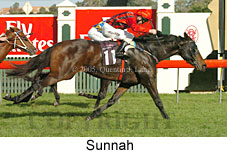 Sunnah (14872 bytes)