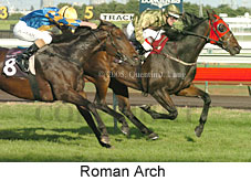 Roman Arch (17007 bytes)