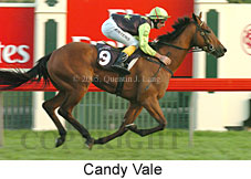 Candy Vale (14872 bytes)