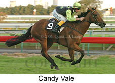 Candy Vale (14872 bytes)
