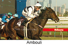 Ambouli (14872 bytes)