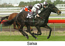 Salsa (14872 bytes)