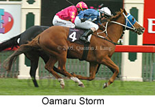Oamaru Storm (14872 bytes)