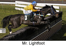 Mr. Lightfoot (14868 bytes)