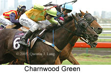 Charnwood Green (14872 bytes)