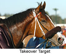 Takeover Target (21625 bytes)