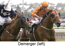 Demerger (14333 bytes)