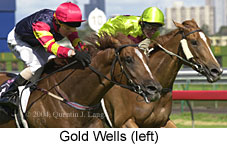 Gold Wells (15024 bytes)