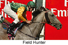 Field Hunter (14872 bytes)