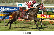 Furio (14872 bytes)