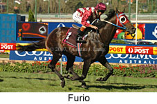 Furio (14872 bytes)