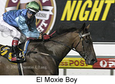 El Moxie Boy (16335 bytes)