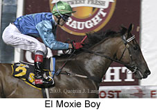 El Moxie Boy (14634 bytes)