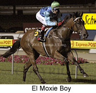 El Moxie Boy (15769 bytes)