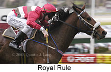 Royal Rule (16505 bytes)
