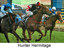 Hunter Hermitage (16727 bytes)