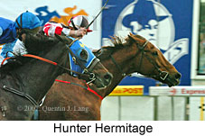 Hunter Hermitage (16727 bytes)