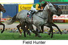 Field Hunter (16727 bytes)