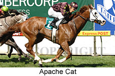 Apache Cat (16727 bytes)