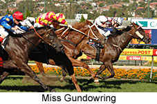 Miss Gundowring (16727 bytes)