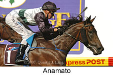 Anamato (16727 bytes)