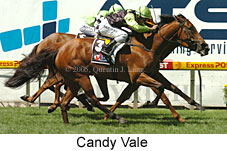 Candy Vale (16727 bytes)
