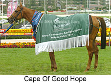 Cape Of Good Hope (18294 bytes)