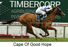 Cape Of Good Hope (18294 bytes)