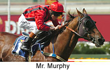 Mr. Murphy (15233 bytes)