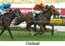 Oddball (18294 bytes)