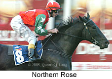 Northern Rose (18294 bytes)
